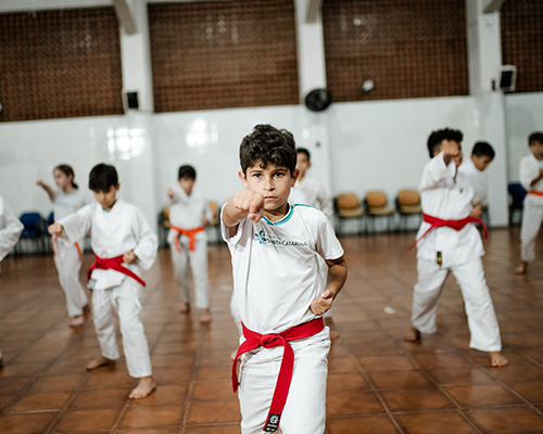 Colegio-Santa-Catarina-Juiz-de-Fora-LP-Cursos-Extras-Karate